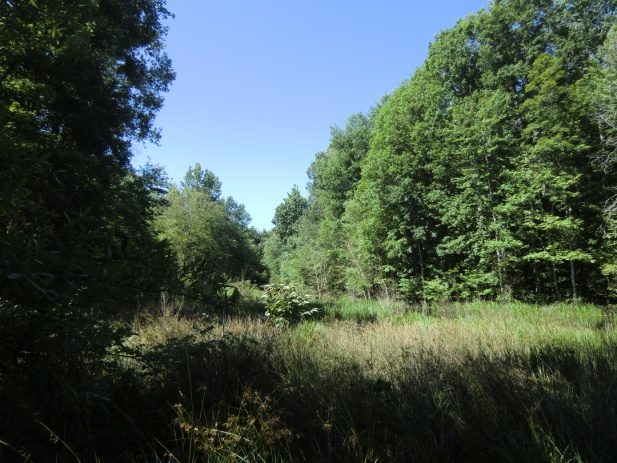 Open view toward Hunting Run Reservoir