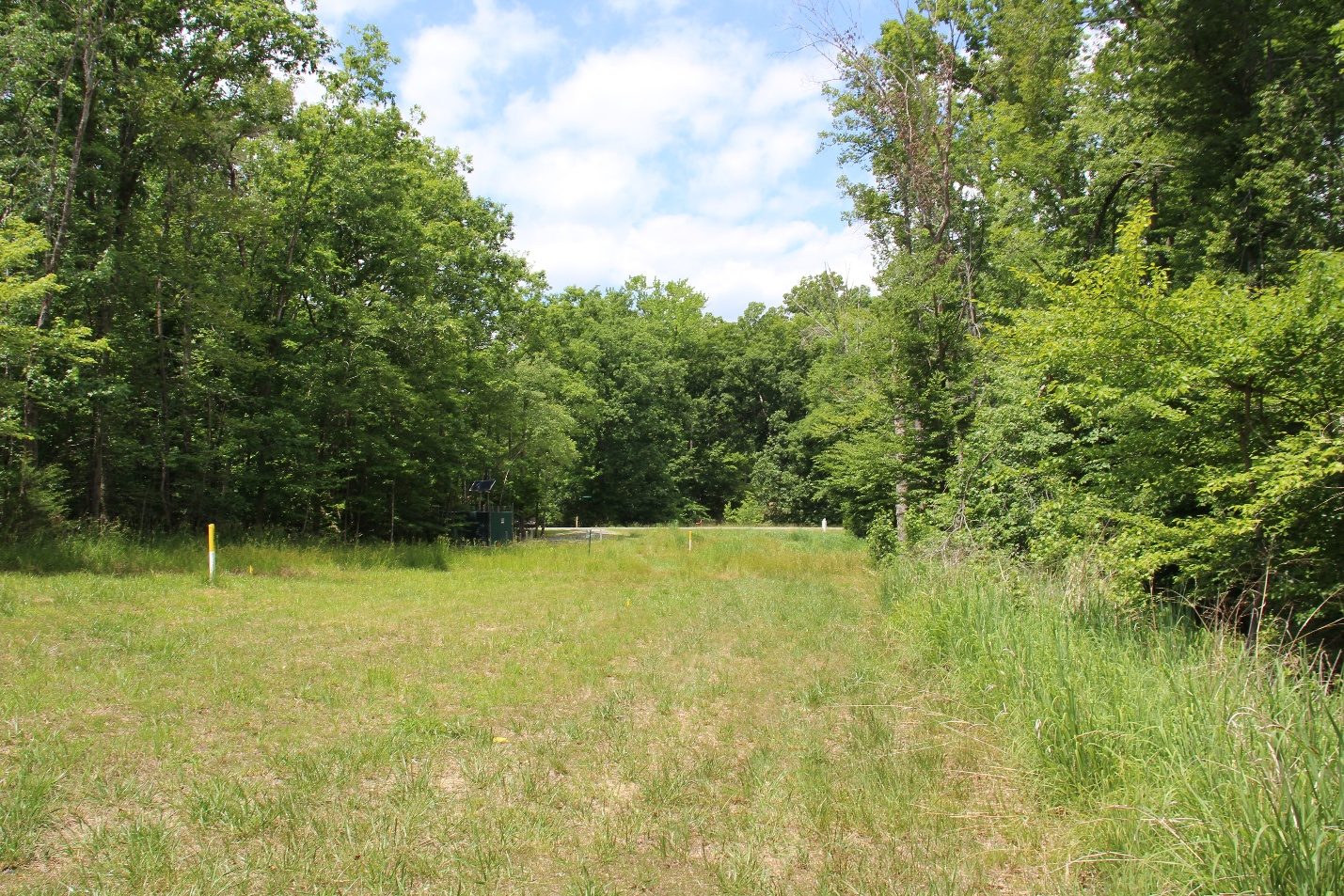 MSP 82 woodland homesite