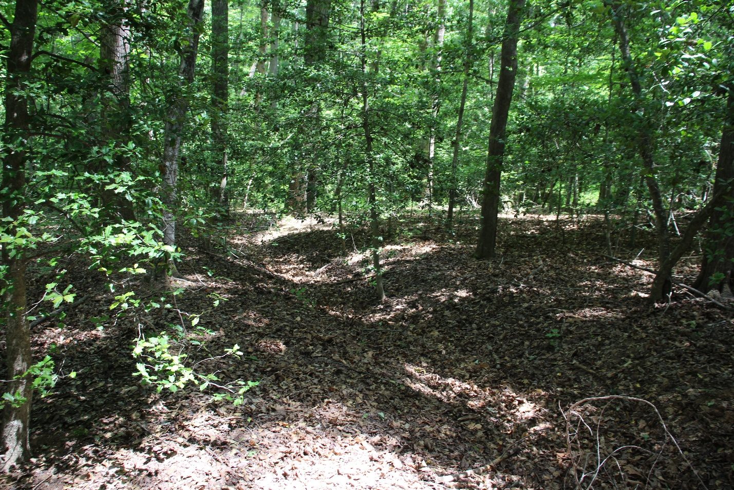 Wooded homesite setting